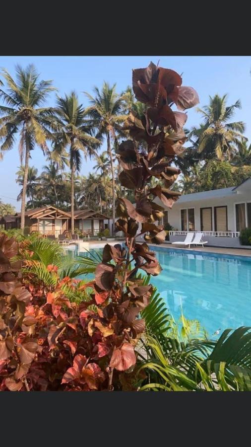 Golden Sands Resort, Morjim Exterior foto